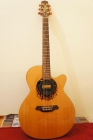 Guitarra Takamine Limited Edition 2000 - mejor precio | unprecio.es