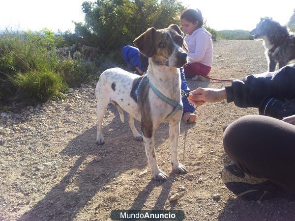 Regalo perrita