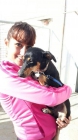 Xispita, preciosa pincher en adopción - mejor precio | unprecio.es