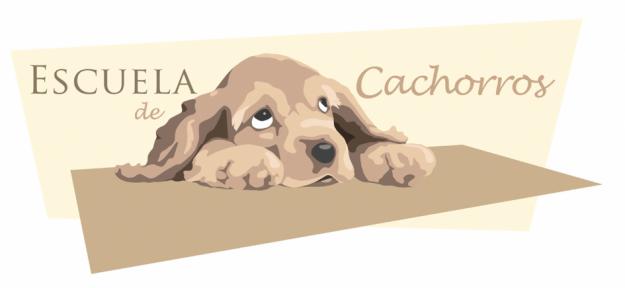ADIESTRAMIENTO CACHORROS GRATIS en la Escuela de cachorros de la UCM