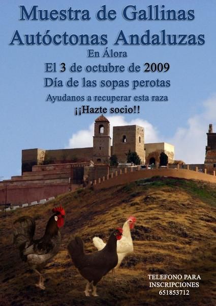 Asociacion andaluza de criadores de gallinas autoctonas de alora