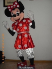 DISFRACES CABEZONES,MICKEY,MINNIE,GOOFY,DAISY,DONALD,BOB ESPONJA Y MAS.. en Madrid - mejor precio | unprecio.es