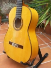 Vendo guitarra flamenca - mejor precio | unprecio.es