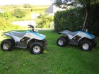 VENDO DOS QUADS - mejor precio | unprecio.es