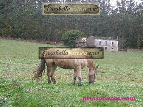 Venta de casa en Venta De Casa De Piedra Y Finca En A Pontenova, Pontenova (Lugo)