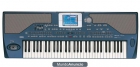 VENDO KORG PA800 oh cambio por PSR YAMAHA - mejor precio | unprecio.es