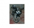 SUZUKI TL 1000 - mejor precio | unprecio.es