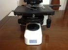 Microscopio Trinocular Nikon eclipse E400 - mejor precio | unprecio.es