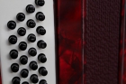 Acordeon seminueva - mejor precio | unprecio.es