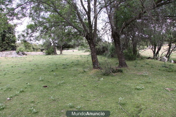 FINCA RUSTICA GANADERA EN GUADARRAMA -MADRID