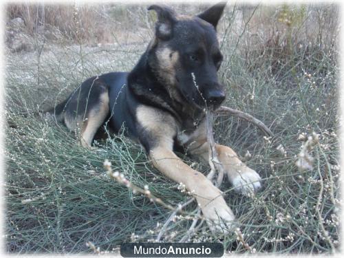Greta muy triste no comprende por que la han abandonado 4 veces.