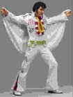 Busco trajes 2ª mano de Elvis y gorro Tío sam - mejor precio | unprecio.es