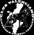 CONCENTRACION AMERICAN PIT BULL TERRIER - mejor precio | unprecio.es