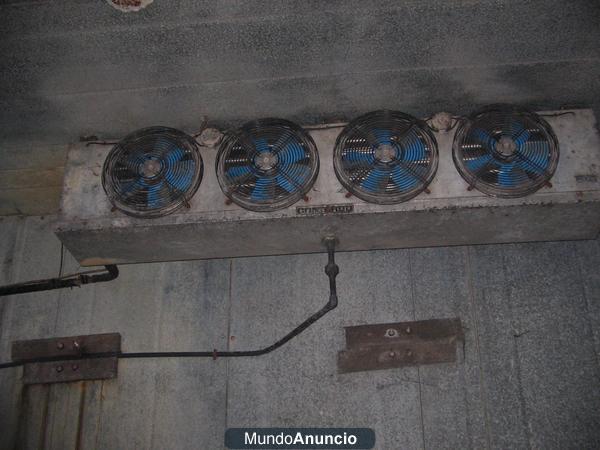 motor completo de camara frigorifica