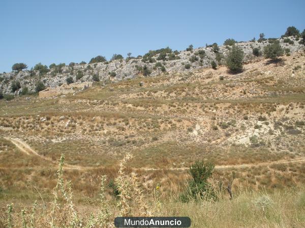 se vende terreno rústico en Calar de la Santa