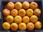 VENTA DE LIMONES,MANDARINAS Y NARANJAS - mejor precio | unprecio.es