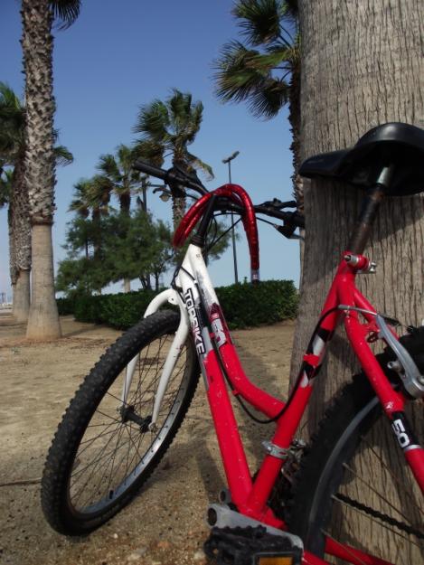 bici + boqueo gratis  / bike + locker gratis