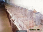 jaulas de conejos - mejor precio | unprecio.es