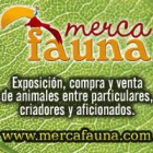 Nace Mercafauna, la primera exposición permanente de animales - mejor precio | unprecio.es