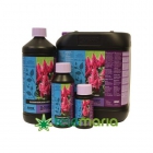 Blossom Builder Liquid - mejor precio | unprecio.es