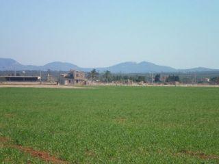 Terreno/Finca Rstica en venta en Campos, Mallorca (Balearic Islands)