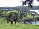 ALENTEJO PORTUGAL FINCA RÚSTICA - mejor precio | unprecio.es