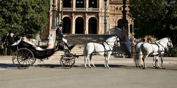 ALQUILER DE COCHES DE CABALLOS PARA BODAS JUAN JOSE SOLIS