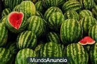 Venta de Frutas y Hortalizas Frescas a la venta (sandías, naranjas, etc ..)