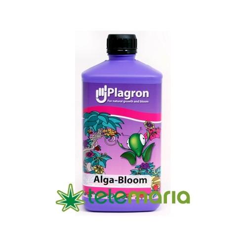 Alga Bloom