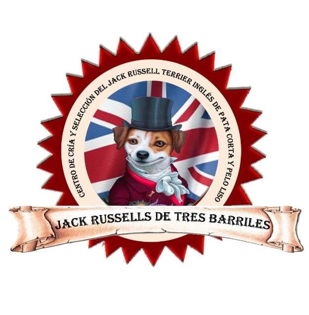 Jacks russell de tres barriles 2014 disponibles