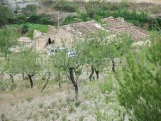 Finca/Casa Rural en venta en Purchena, Almería (Costa Almería)