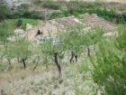 Finca/Casa Rural en venta en Purchena, Almería (Costa Almería) - mejor precio | unprecio.es