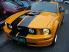 Ford Mustang V8 GT 500 400CV - mejor precio | unprecio.es