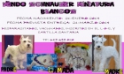 schnauzers miniatura blancos - mejor precio | unprecio.es