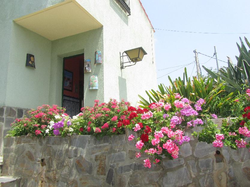 Chalet con el jardín tropical a dos minutos de la playa