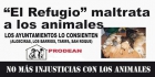 NO COMPRES ANIMALES, ADOPTA Y SALVA VIDAS. S.O.S. - mejor precio | unprecio.es