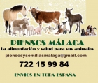 Piensos para caballos gallinas trigo maiz con los mejores precios - mejor precio | unprecio.es