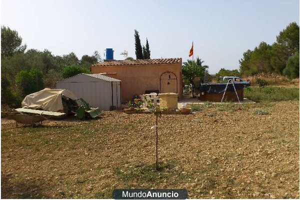 terreno en calvia pueblo