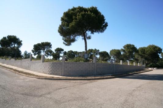 Terreno y Solares En Venta en Santa Ponsa, Mallorca