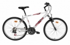 BICICLETA ACERO WARRIOR 26 H - mejor precio | unprecio.es