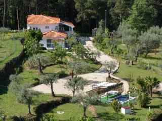 Promocion : casa : 4/5 personas - piscina - oliveira do hospital  beira alta  beiras  portugal