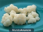 se vende kefir afgano - mejor precio | unprecio.es
