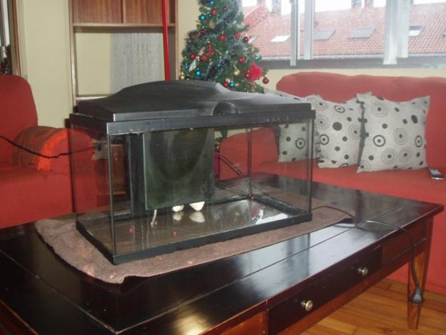 vendo o cambio acuario de 60 litros