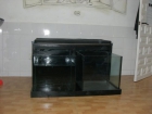 Acuario Garra Rufa - 2 Personas - mejor precio | unprecio.es