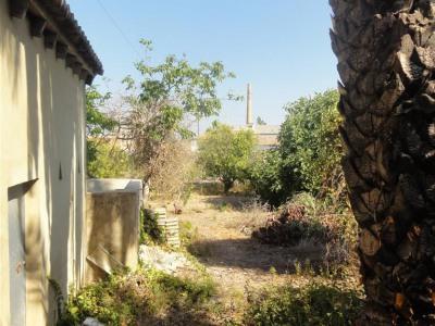 4b  , 1ba   in Oliva,  Valencia And Costa del Azahar   - 116000  EUR