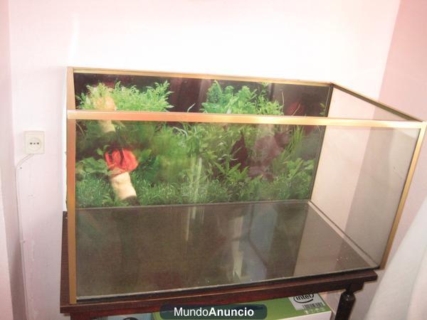 Acuario de 200 litros