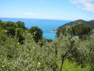 Apartamento : 2/4 personas - bonassola  la spezia (provincia de)  liguria  italia