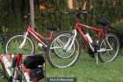 Bicicletas Hombre y Mujer JL Wenti - mejor precio | unprecio.es