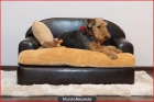 EL SOFA IDEAL PARA TU PERRO - mejor precio | unprecio.es