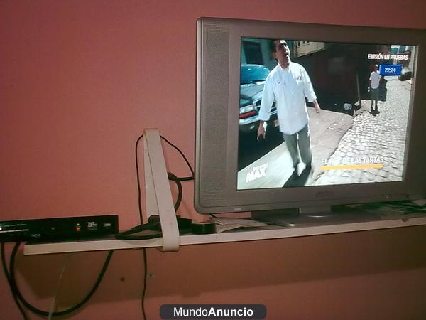 tdt y televisor pantalla plana